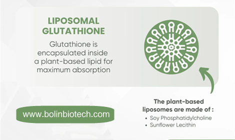 What is Liposomal Glutathione?